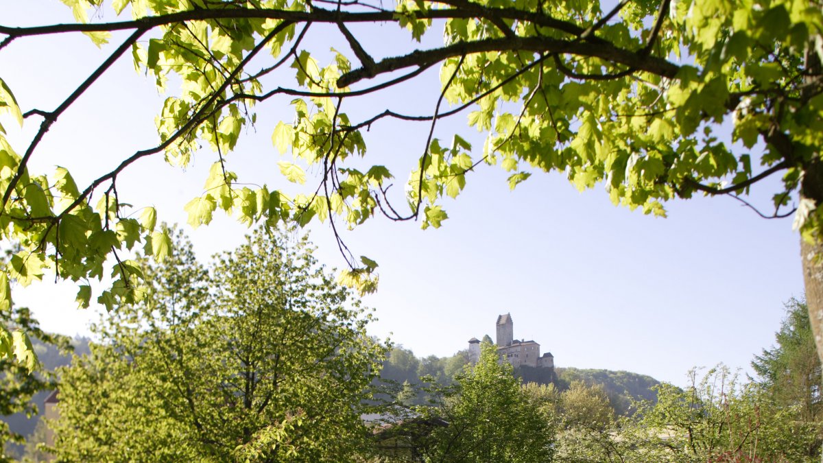 Burg im Naturpark Altmühltal