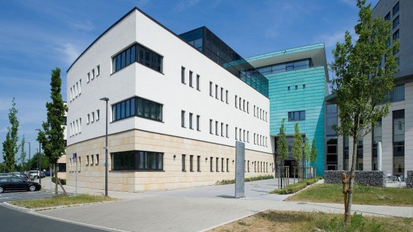 Blick auf medicos.AufSchalke, daneben Bäume
