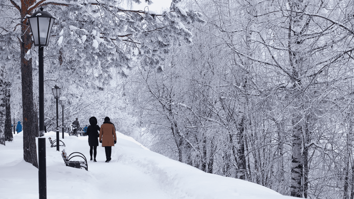 Winterspaziergang Reha über Weihnachten und Silvester Zwei Personen gehen auf einem verschneiten Weg spazieren. Symbolbild für Ruhe und Erholung während der Reha im Winter.