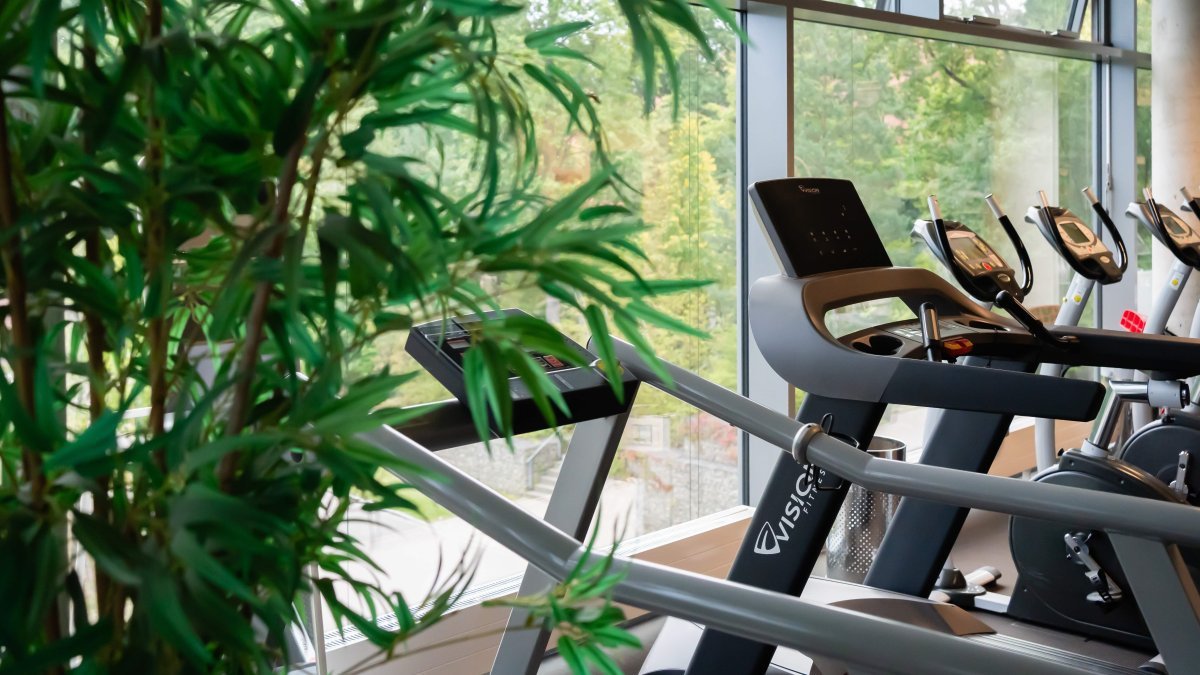 Alpha Reha Roth 09894